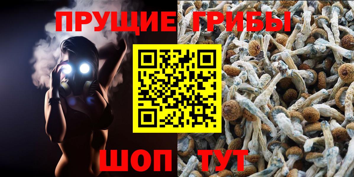 Тольятти  Псилоцибиновые грибы прущие грибы  Вход с VPN  Галлюциногенные грибы Psilocybine cubensis 