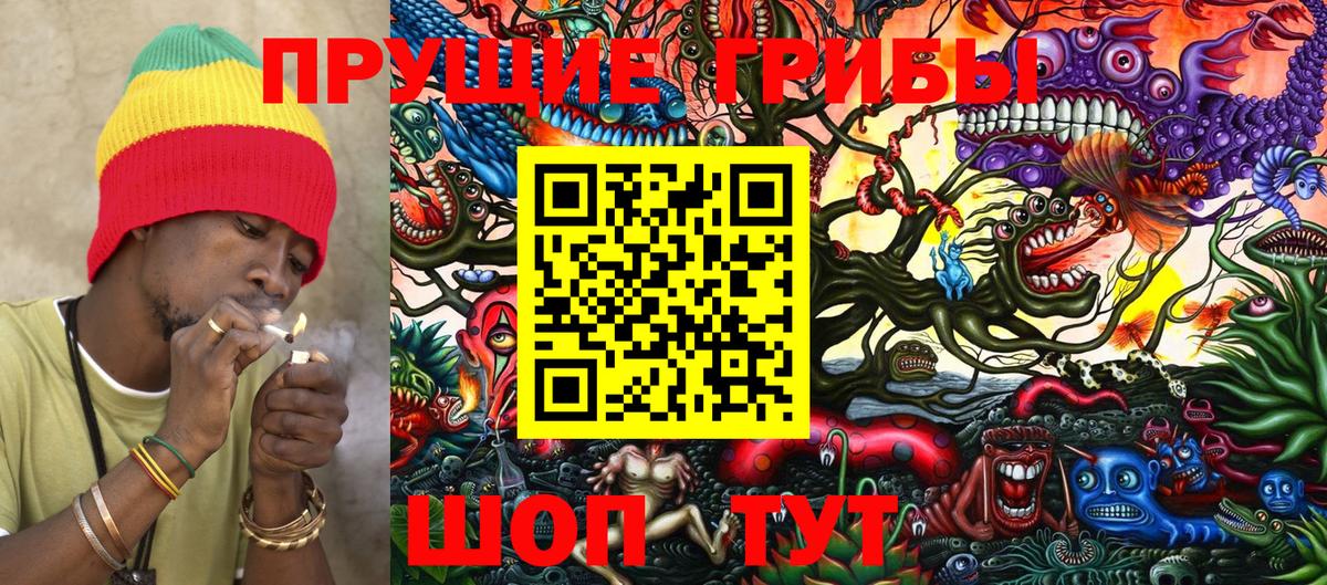 Псилоцибиновые грибы Psilocybine cubensis Тольятти